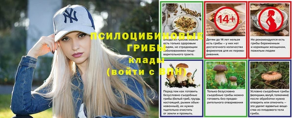 меф Алексин