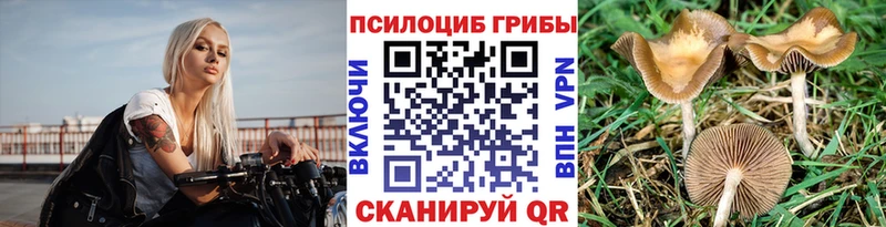 Псилоцибиновые грибы Magic Shrooms  Черепаново 
